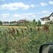 Tartasesti, 20.000 mp teren intravilan, valabil pana la data de 30.07.2026
